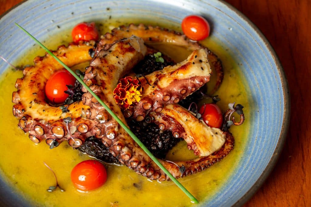 Para quem quer um ambiente moderno e com alta gastronomia, o Jangada Cambuí em Campinas é o lugar certo.
