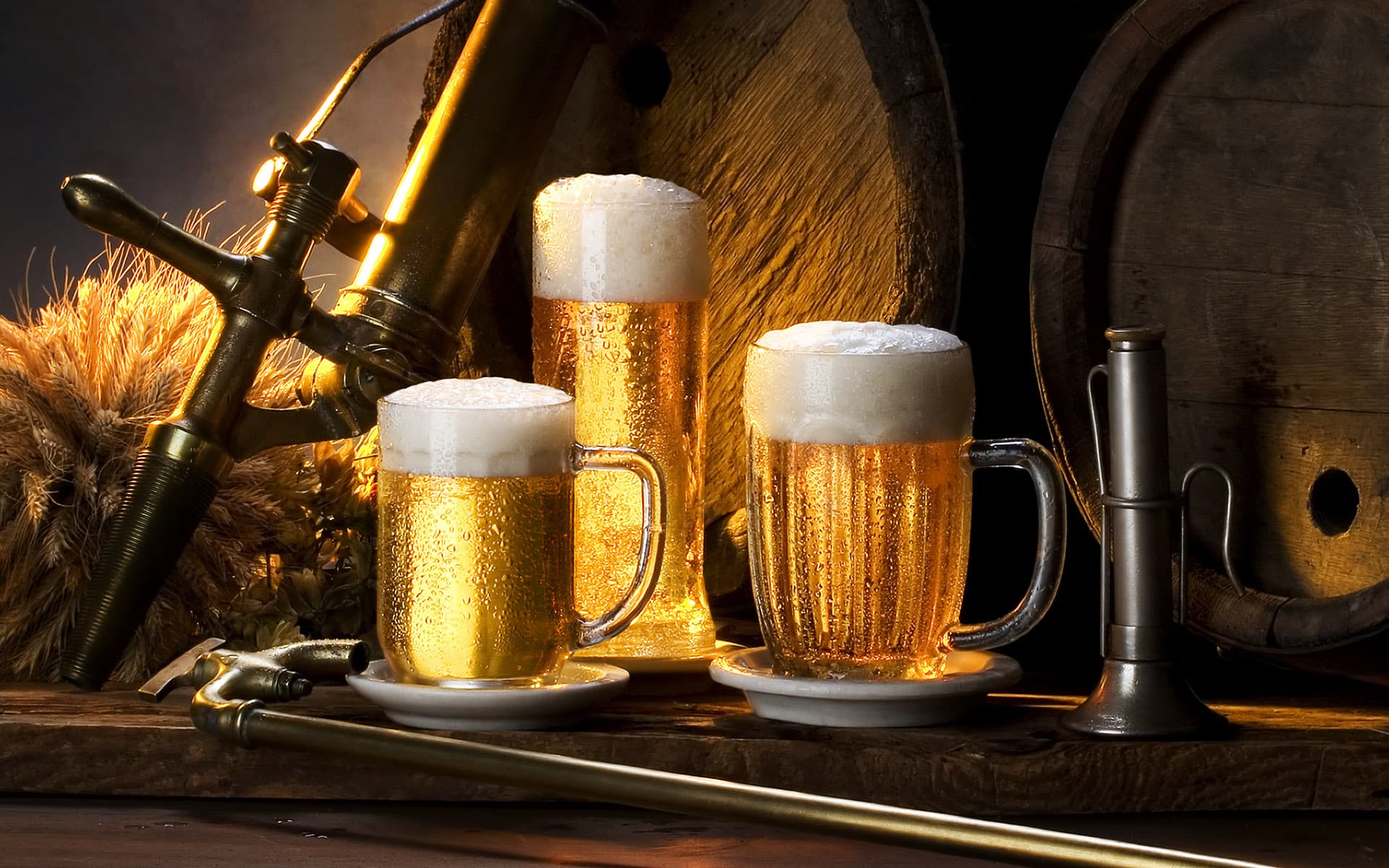Descubra a magia do mundo cervejeiro, regado a deliciosos petiscos, drinks e muita música.