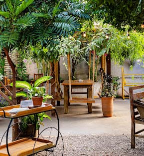 GAIRDÍN, que significa jardim em irlandês, encapsula o espírito de nosso empreendimento: um jardim florescente de ideias gastronômicas.