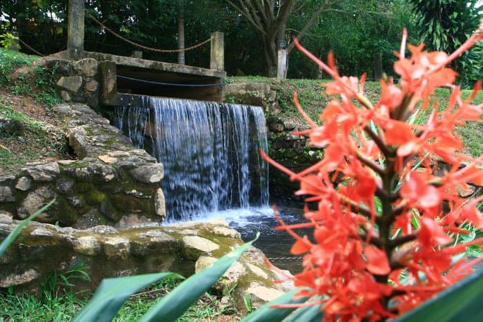 Venha conhecer um ambiente tranquilo em meio a natureza e aproveite para degustar uma das nossas deliciosas caipirinhas.