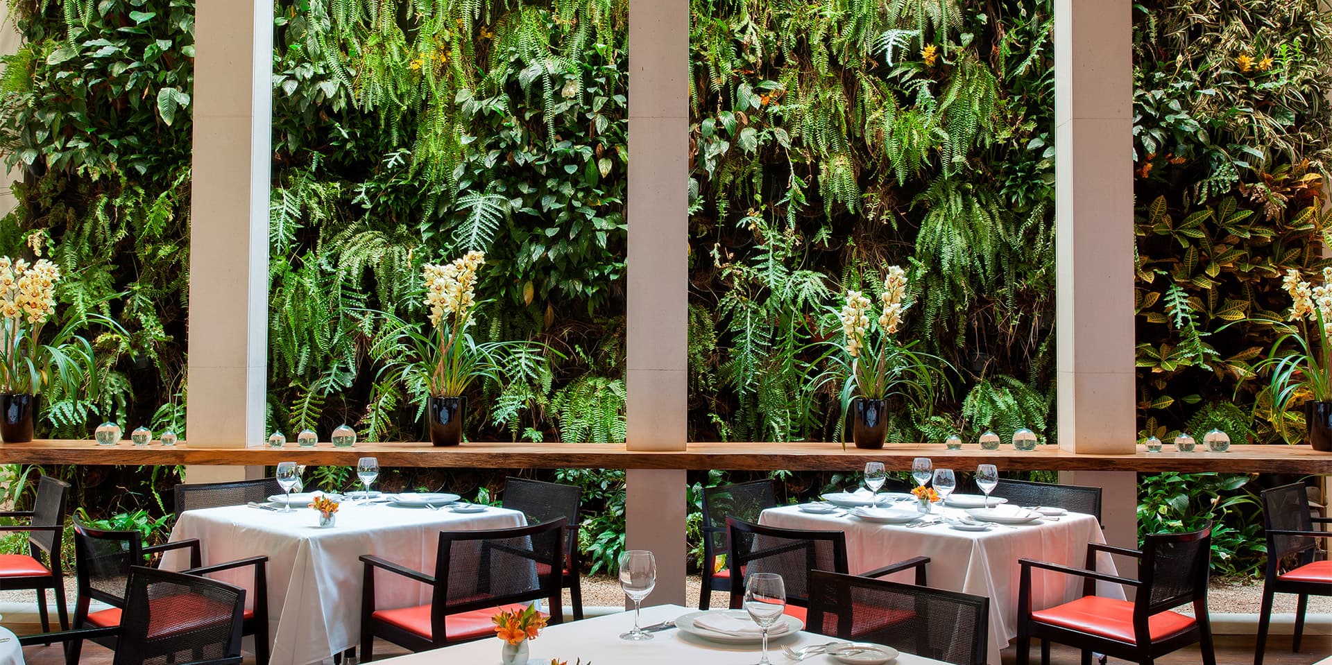 Os melhores ingredientes, a técnica precisa, os sabores mais cativantes. Esta é a 
essência do Emiliano, um restaurante de cozinha contemporânea, com influências 
brasileiras, bases clássicas e ênfase na qualidade de produto.
O Emiliano tem orgulho de seu cardápio, formado com ingredientes especiais e 
obtidos segundo práticas sustentáveis. São produtos responsáveis do ponto de 
vista ambiental, aproveitados em sua totalidade, que garantem pratos deliciosos –
e que, por meio das técnicas mais adequadas, destacam o frescor e o respeito à 
sazonalidade. Tudo isso respaldado por um serviço hospitaleiro e eficiente, e por 
um ambiente elegante e acolhedor.