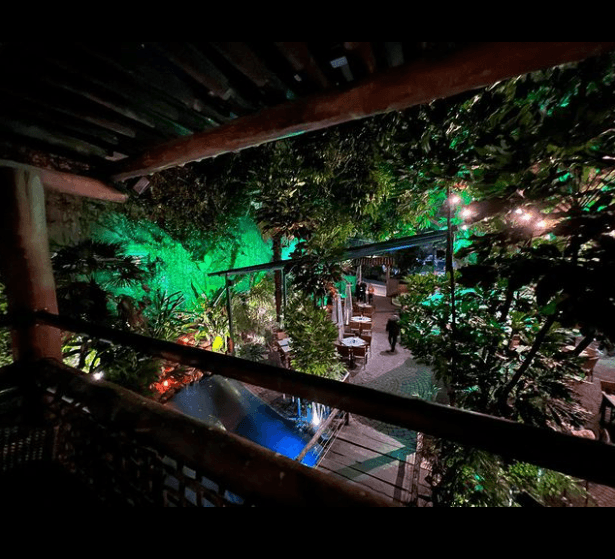 Situado na frente de uma praça, o bar e restaurante surgiu há 18 anos recebendo cerca de cento e vinte pessoas sentadas em sua concorria área externa arborizada com lago artificial, queda d'água e três enormes mangueiras centenárias. Com a atmosfera interativa com a natureza, graças ao impactante paisagismo, o bar e restaurante Pé de Manga propõe aos clientes uma experiencia prazerosa em plena cena urbana e localizado no circuito da Vila Madalena. Seu cardápio reúne do petisco às criações gastronômicas exclusivas, elaboradas pelo chef João Silva, que integrou as equipes de Alex Atala, Emmanuel Bassoleil e Érick Jacquin.  
Para compartilhar, são oferecidas sugestões de entrada ou para acompanhar as bebidas baseadas na comida brasileira como Dadinho de tapioca (servidos com queijo coalho e geleia de pimenta), Coxinha de bobó de camarão, Pastel de abóbora com gorgonzola e o Mini acarajé. Além de drinks autorais, o Pé de Manga tem variedade de chopes e cervejas, caipirinhas especiais, cachaças, vinhos também em taças e sangrias.