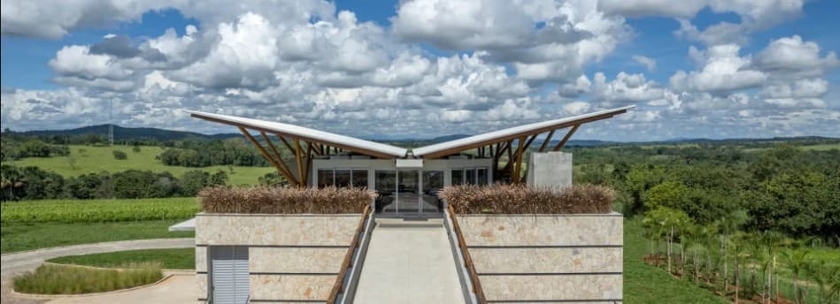 A Vinícola São Patrício foi fundada em 2019 em Rianápolis, Goiás e faz parte de um grupo econômico familiar composto por outras quatro empresas que atuam no setor elétrico há 75 anos.

A propriedade está a 623 metros de altitude, possui solo arenoso, clima seco e amplitude térmica de 22ºC na época da maturação das uvas. Possui 6,5 hectares de vinhedos formados das variedades Syrah, Cabernet Sauvignon, Cabernet Franc, Marselan e Chenin Blanc. 

Utiliza da técnica da dupla poda para manejo dos
vinhedos com a colheita realizada entre julho e agosto.

Tem assessoria da Floeno Consultoria em viticultura e do Enólogo Cristian Sepúlveda em enologia.
É associada da Anprovin – Associação Nacional de Produtores de Vinho de Inverno.

Nossa equipe é formada pela Enóloga Bárbara Marques, pelo Gerente de campo Luiz Almeida e colaboradores comprometidos com a qualidade de nossas uvas e vinhos!