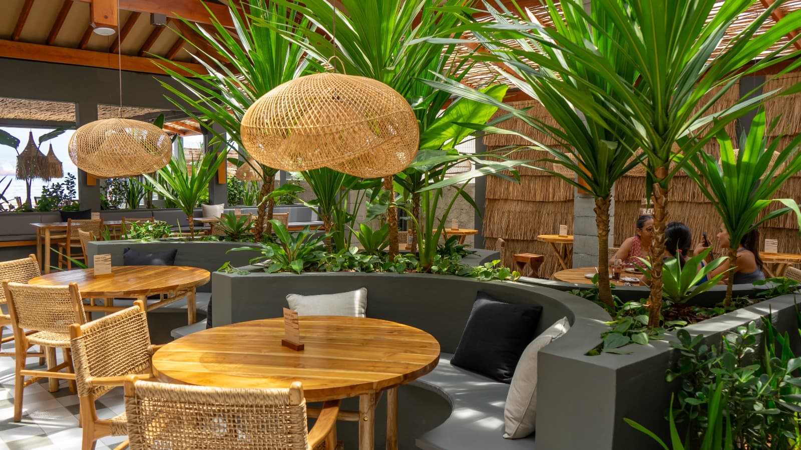 Coffee /Bar Mixology / Restaurant / Forneria / Shop Retail