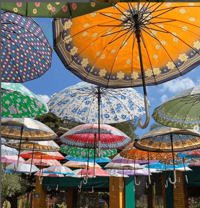 O melhor da gastronomia Portuguesa e Italiana, enologia, e muita natureza no mais belo complexo de lazer de São Roque/SP