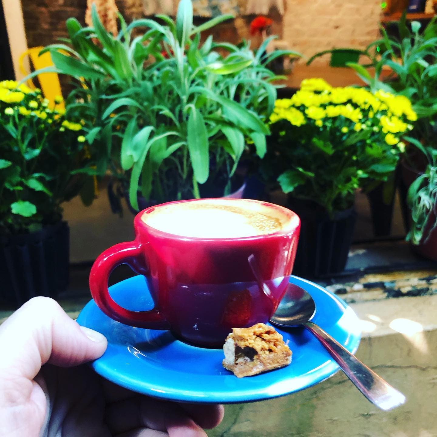Cappuccinos e espressos com fatias de tortas em lojinha de objetos decorativos, com jardim e clima tranquilo.
